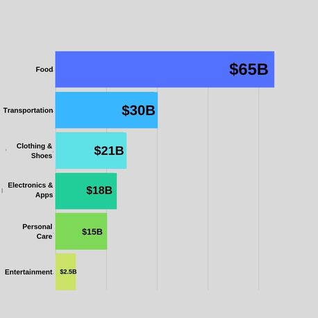 college student discretionary spending